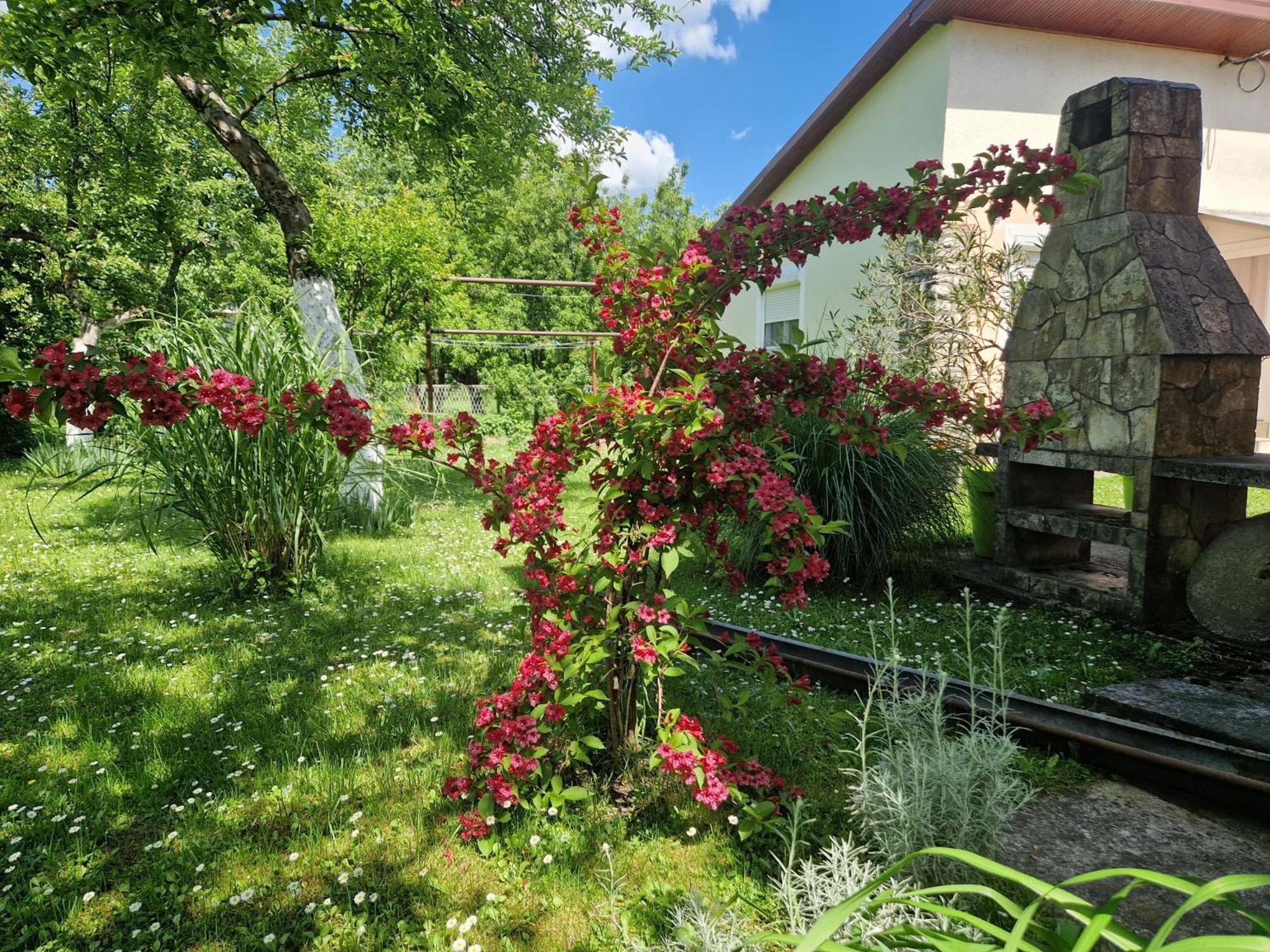 Studio Apartman Marica - Ogulin, Hrvatska Eksteriør bilde